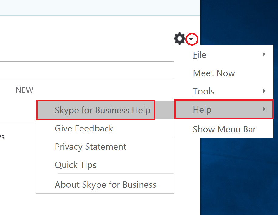 Skype for Business Help
